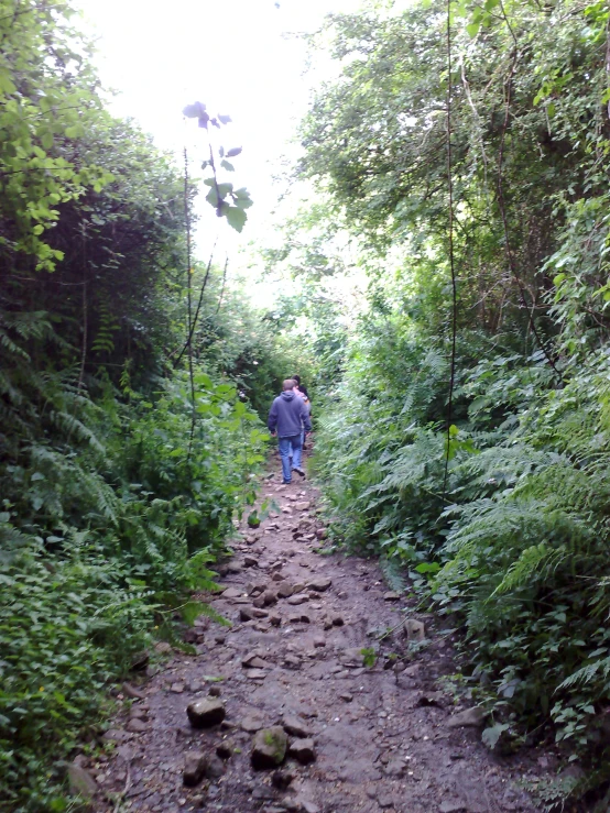 two people walk down a rocky pathway in the woods