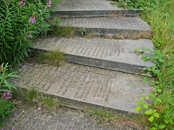 steps that lead to the top of a grassy hill