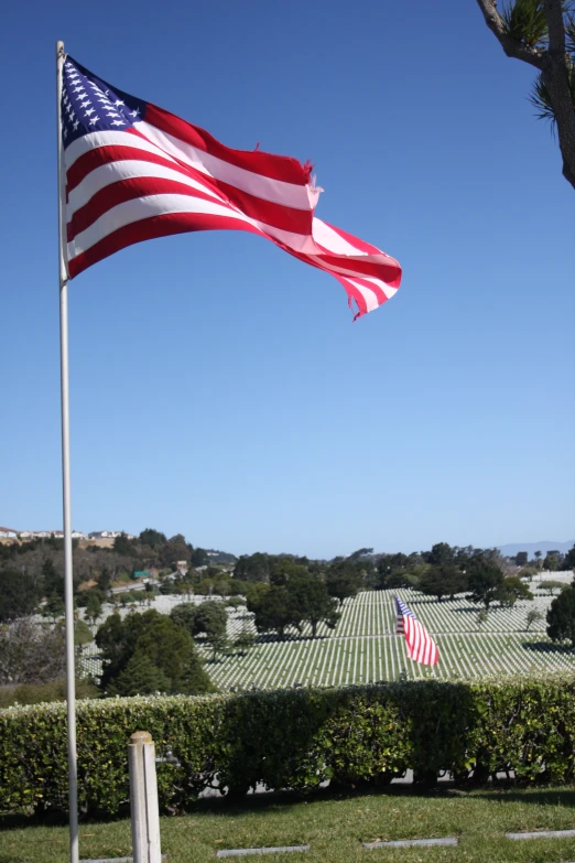 a flag and an american flag in the foreground