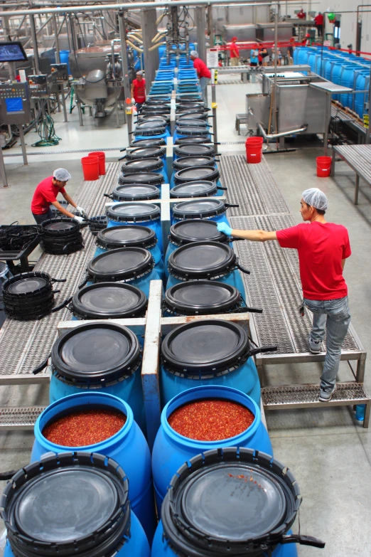 men work on processing some red beans in a factory