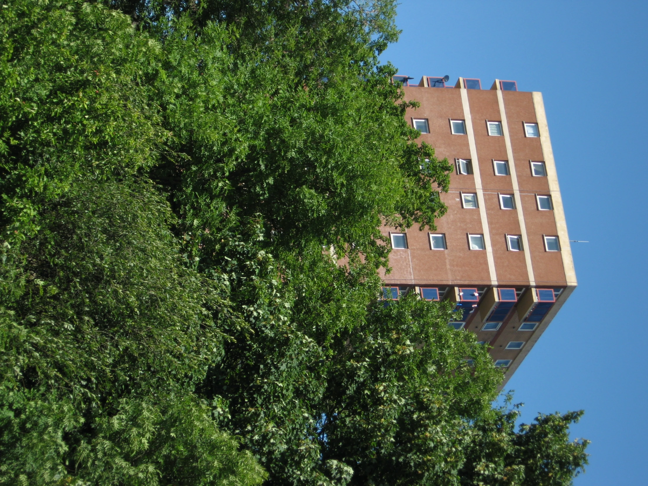 a large brown building towering over a forest of green trees