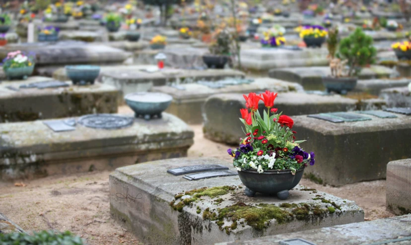 a group of cement tombstones with flowers in them