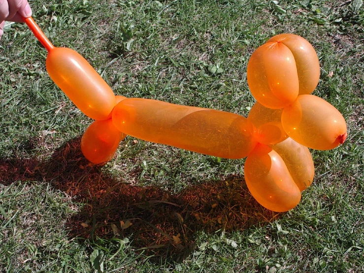 a dog made from orange balloons that are standing in the grass