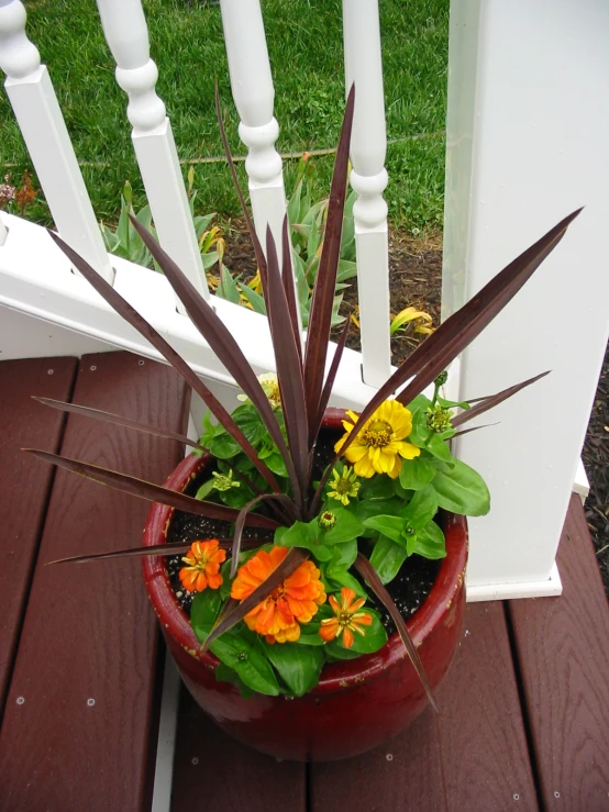 some plants sitting in a red pot on a porch