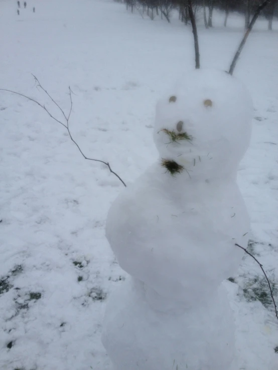 the snowman made to look like a man from another planet