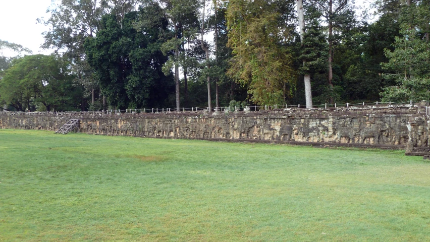 a stone wall and grassy field near trees