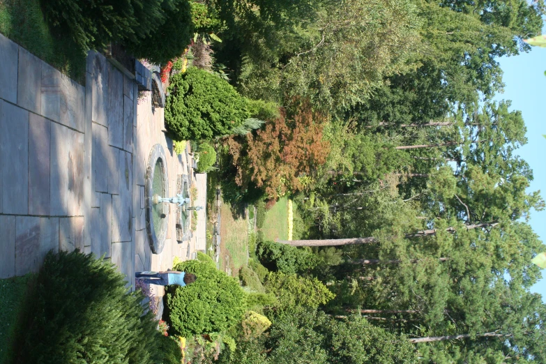 an open walkway in front of trees with a fountain