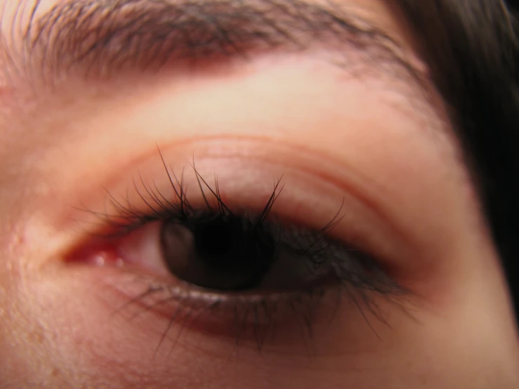 an eye s of a persons upper part showing eyelashes