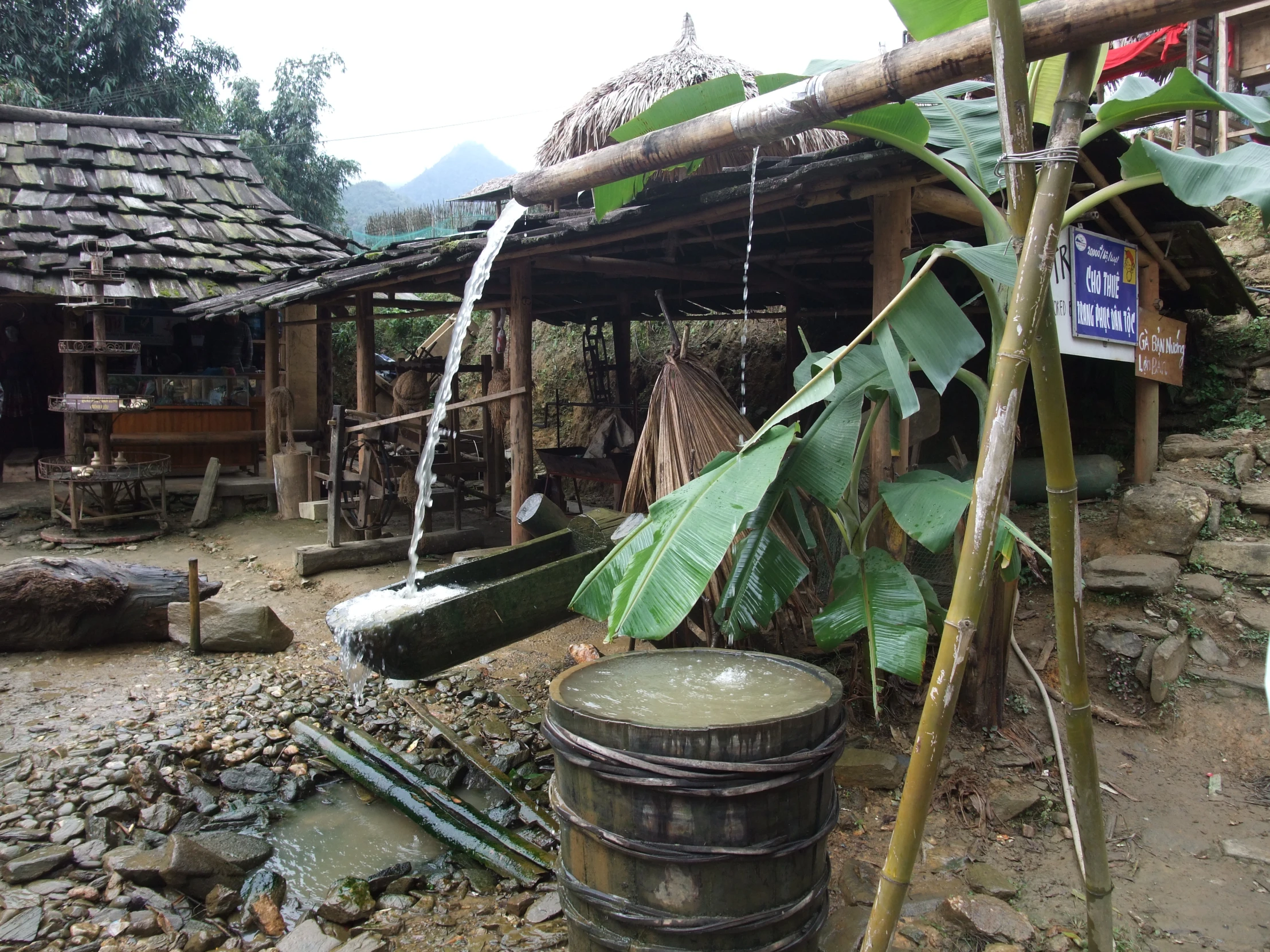 a wooden hut with an open roof with some green plants