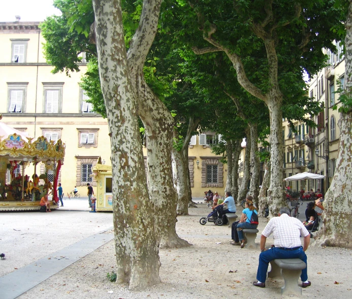 several people sit in a park as they eat