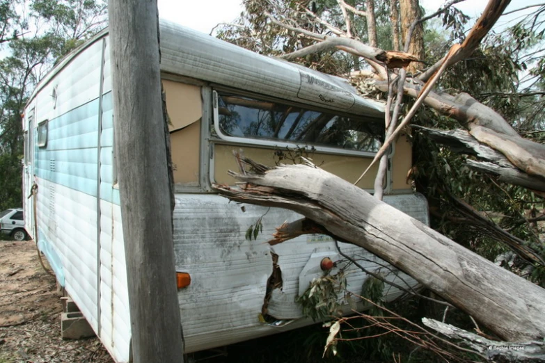 a mobile home is left with a tree lying on the ground