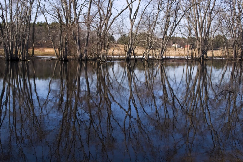a pond with some trees reflected in the water