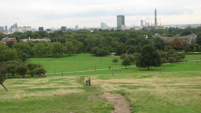 a grassy field in the background, with buildings to the right