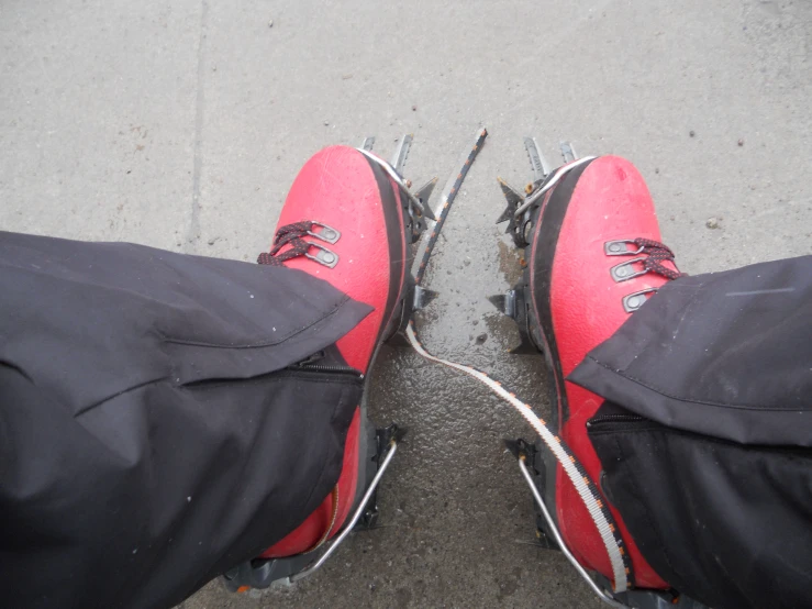 view of shoes with ski poles attached to them