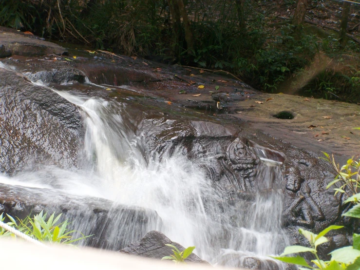 a small waterfall of water surrounded by trees