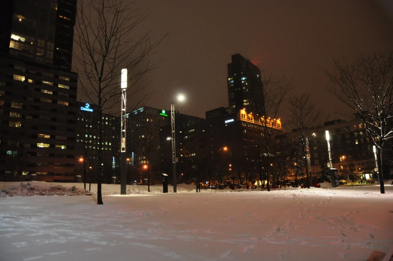 night in a winter scene of city with trees, snow and street light and buildings