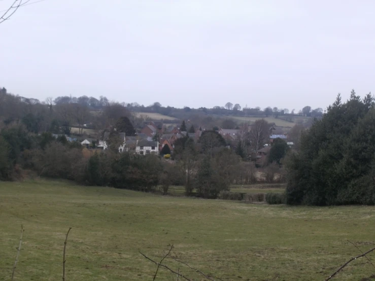 a grassy field and houses on the horizon