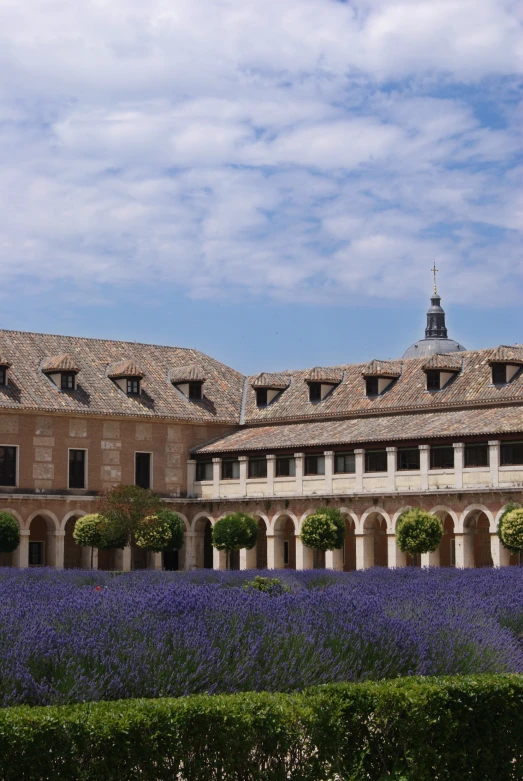 a building with many lavender plants on the outside