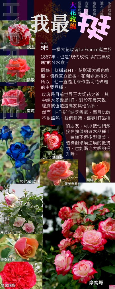 a page from a magazine about the different flowers