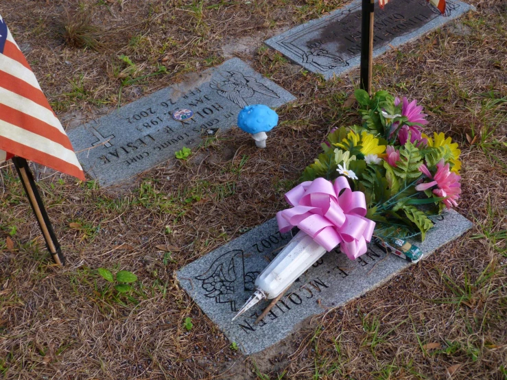 a couple of headstones in the grass and some flowers