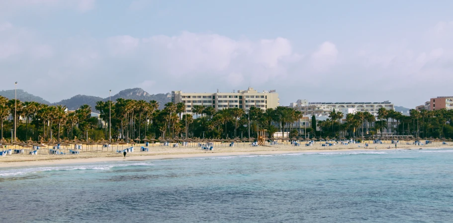 view of city and palm trees along beach near water