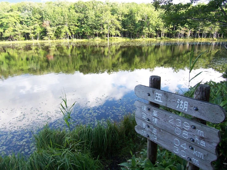 a wooden bench sitting near a body of water