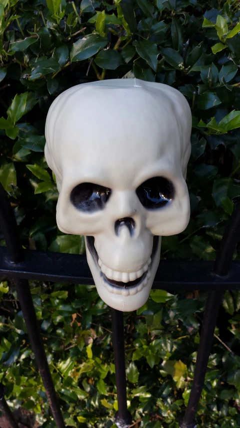 a fake skull hanging from the gate