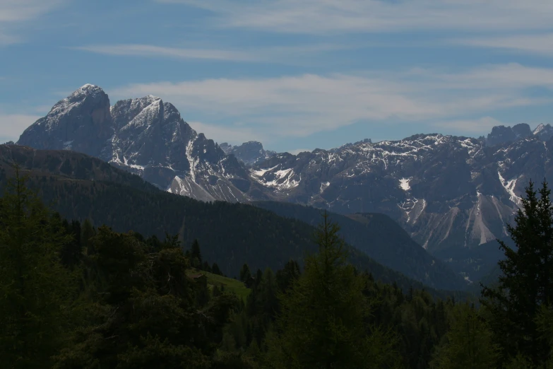 many mountains with lots of trees and snow