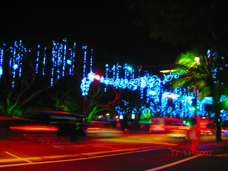 blue lights all over the trees in the background