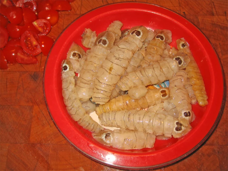 this plate contains several large caterpillars in it