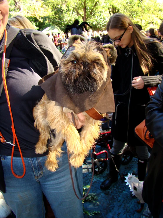 the woman holds the dog wearing a hat