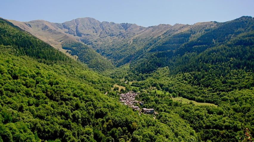 the view from above of a valley and some trees