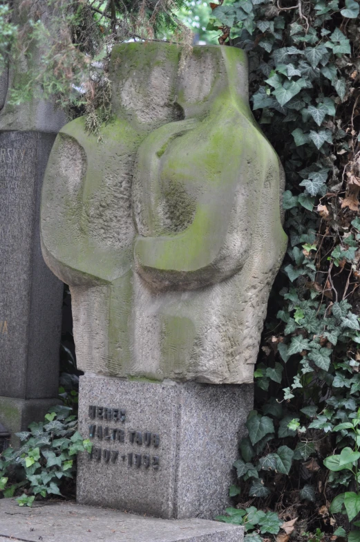 a statue in the middle of plants in the corner