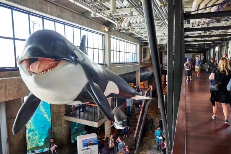 the interior of an exhibit with a fake orca