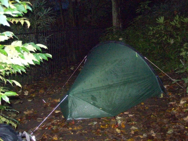 the green tent is lying on leaves in a dark woods