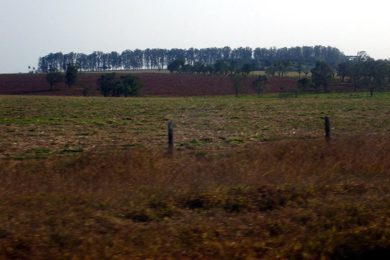 a large grassy field with a fence in the foreground