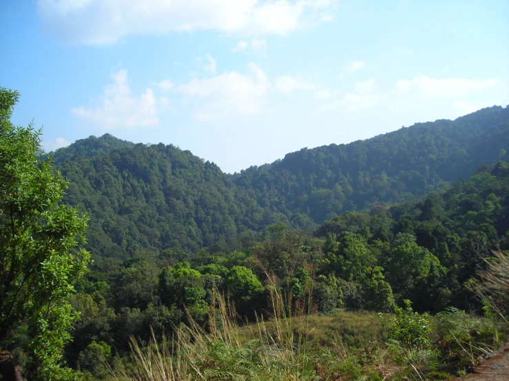 an image of a large mountain in the distance