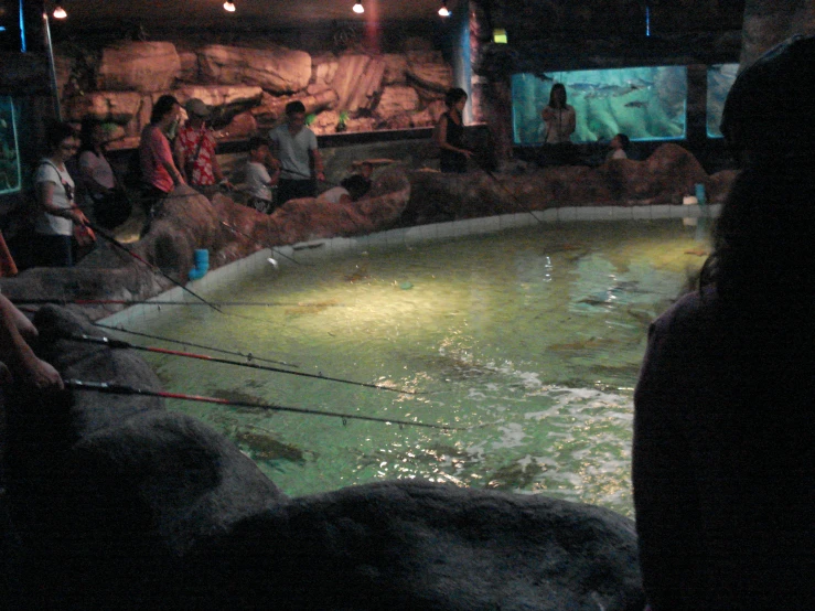 some people looking at a large aquarium with several different kinds of animals