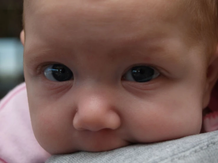 a baby with blue eyes looks directly in the camera