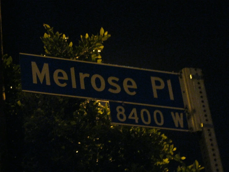 a street sign is pictured with trees in the background