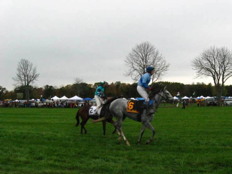 the jockey is riding the horse in a green field