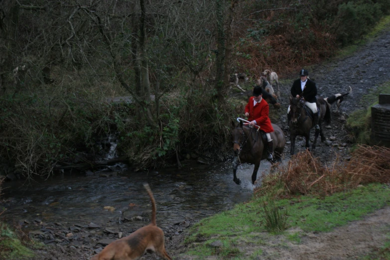 people riding on horseback through a stream with a dog nearby