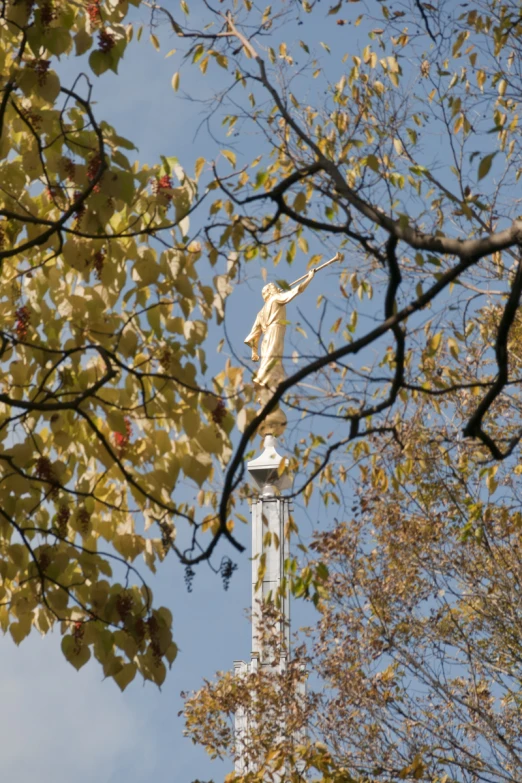 a tree and sky with a statue in the middle