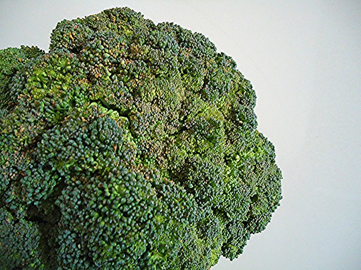 this is an aerial view of a broccoli plant