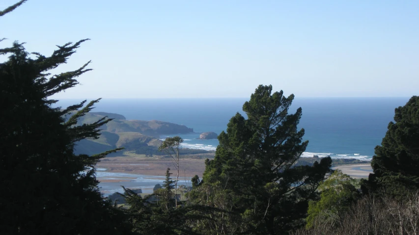 view through the pine trees of a coast of ocean and mountains