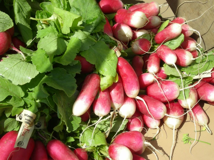 a pile of radishes on top of the ground