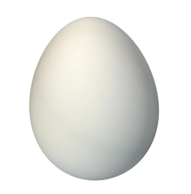 a white egg is pictured in this image