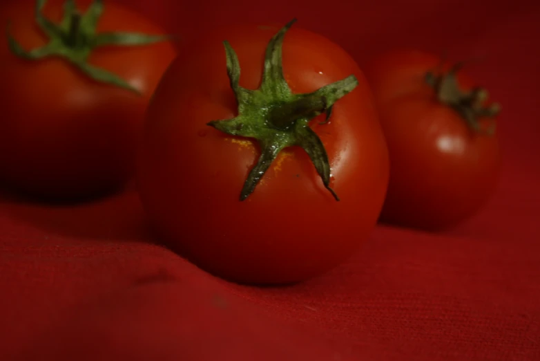 four tomatoes with stems coming out of them