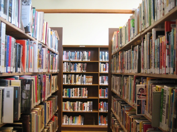 several rows of books in a liry with various kinds of books