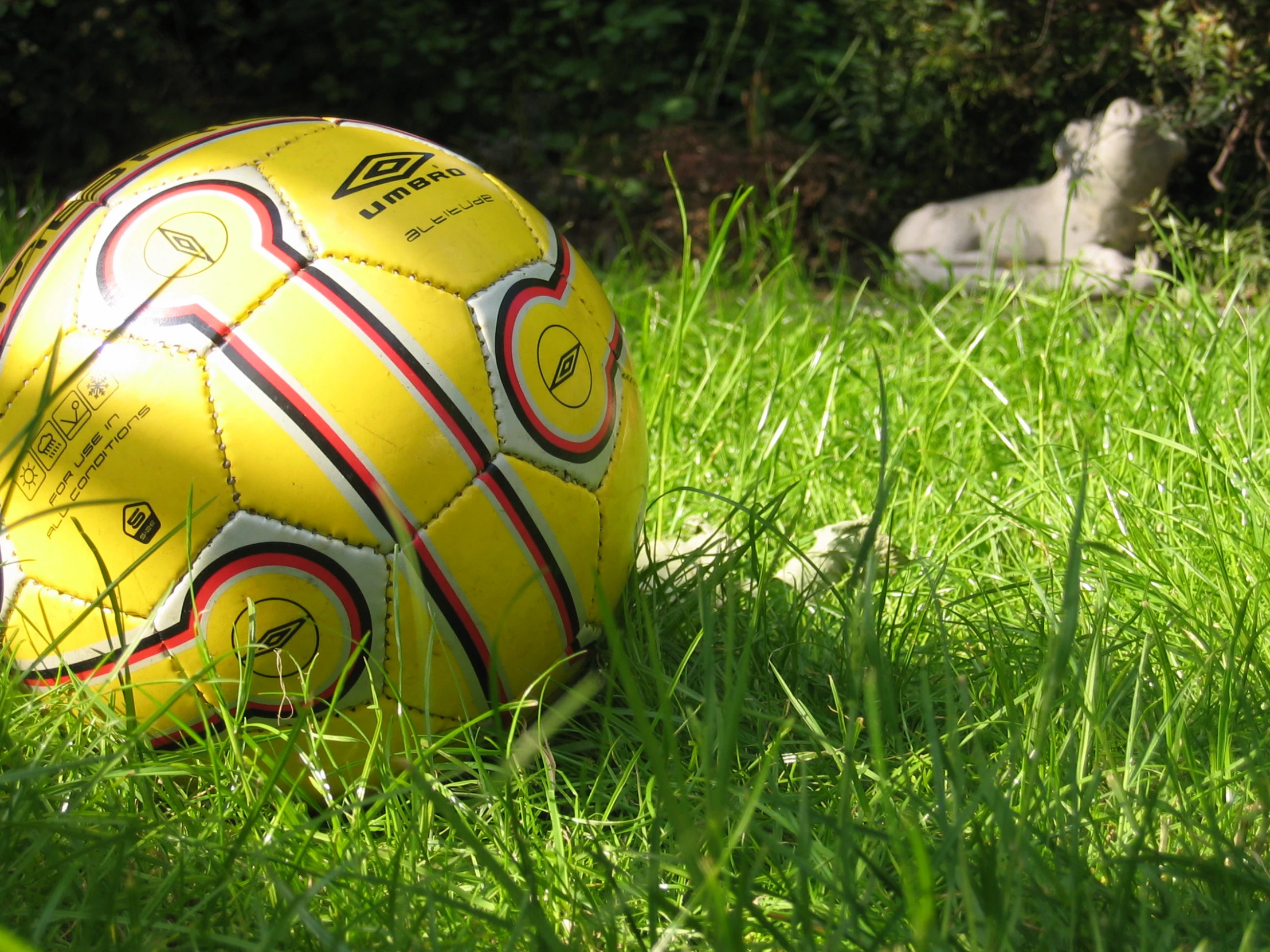 a soccer ball sitting in the middle of a field